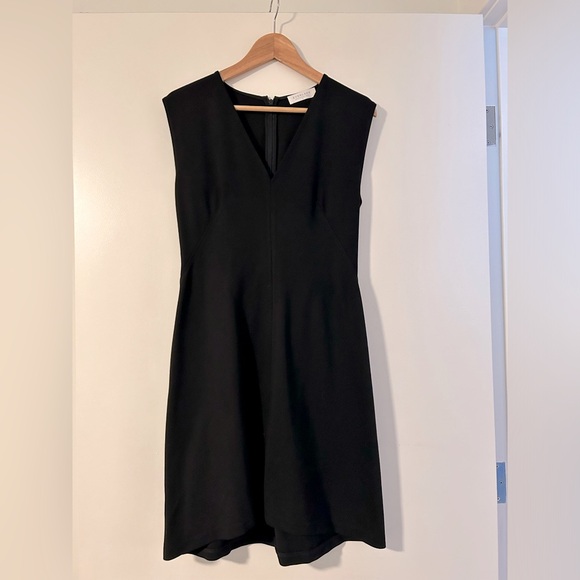 Everlane V-Neck Flare Dress - Picture 3 of 6